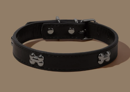 Deluxe Leather Dog Collar