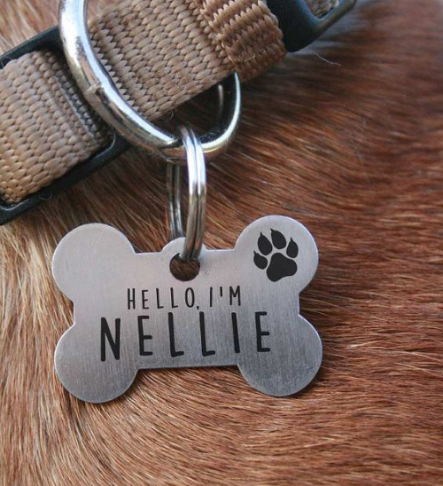 Customizable Bone Metal Dog Name Tags