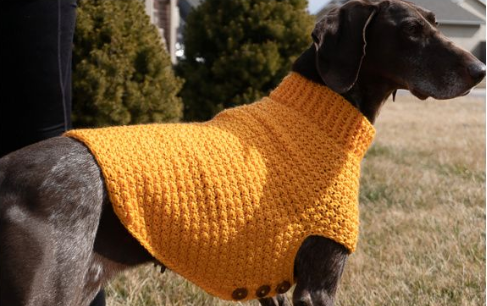 Knitted Sweater