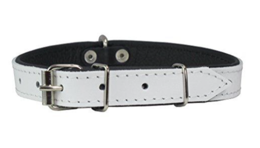 Deluxe Leather Dog Collar