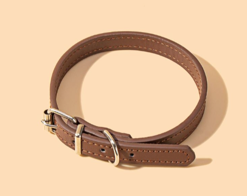 Deluxe Leather Dog Collar